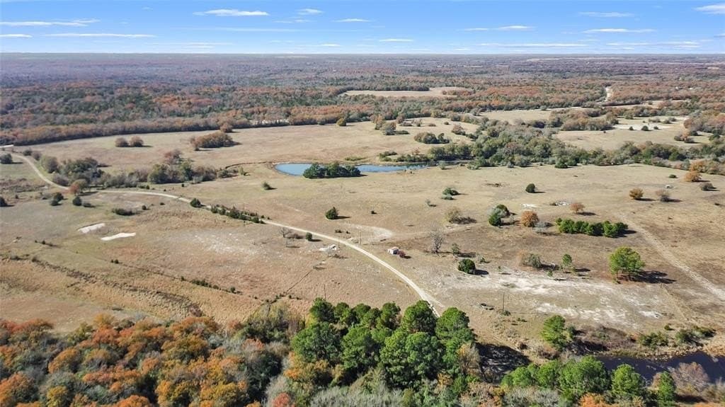 151.6 acres in Limestone County - photo 18