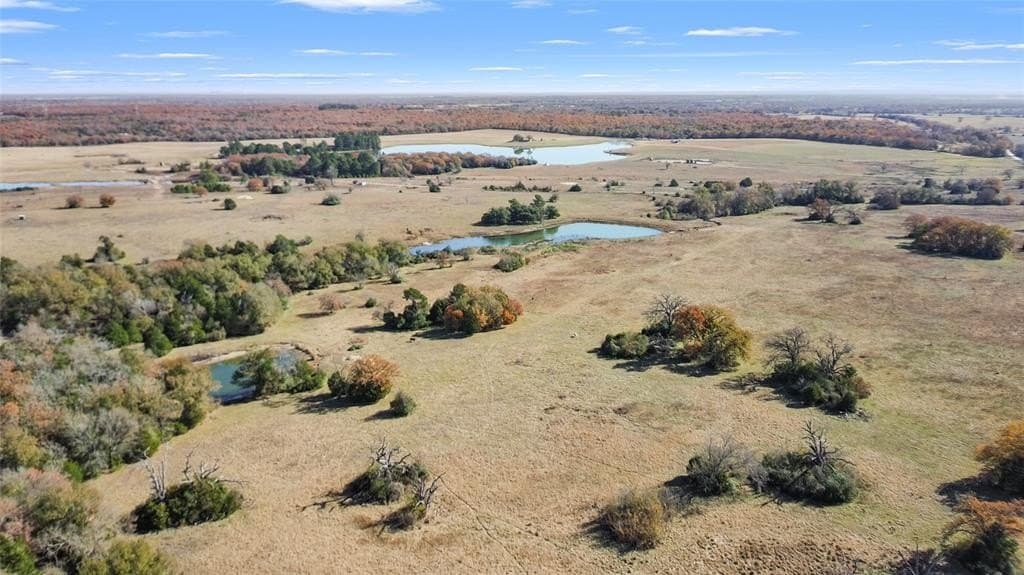 151.6 acres in Limestone County - photo 22