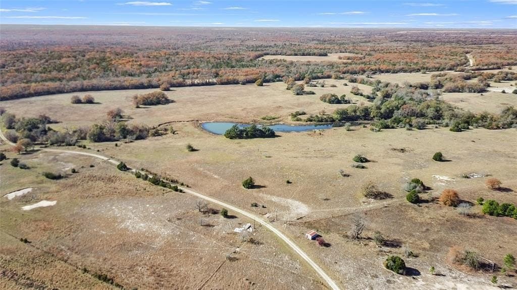 151.6 acres in Limestone County - photo 24