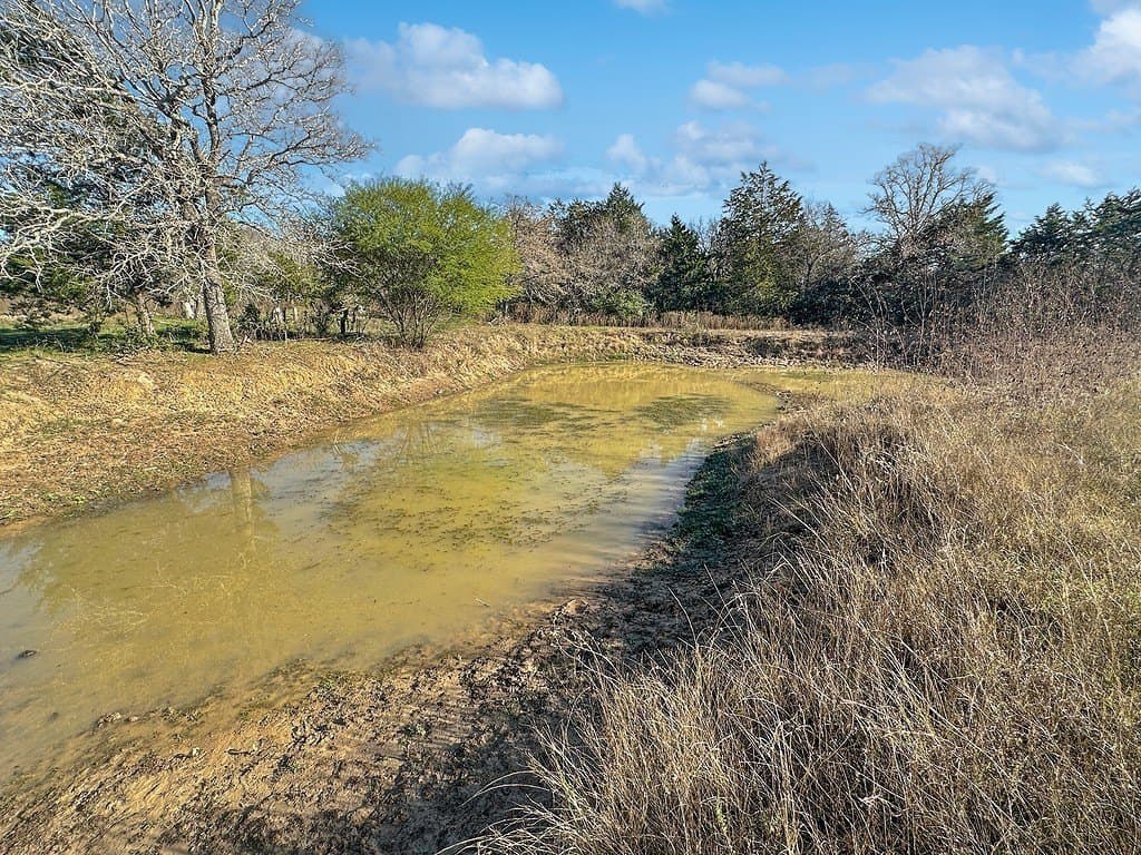 43.26 acres in Fayette County - photo 12