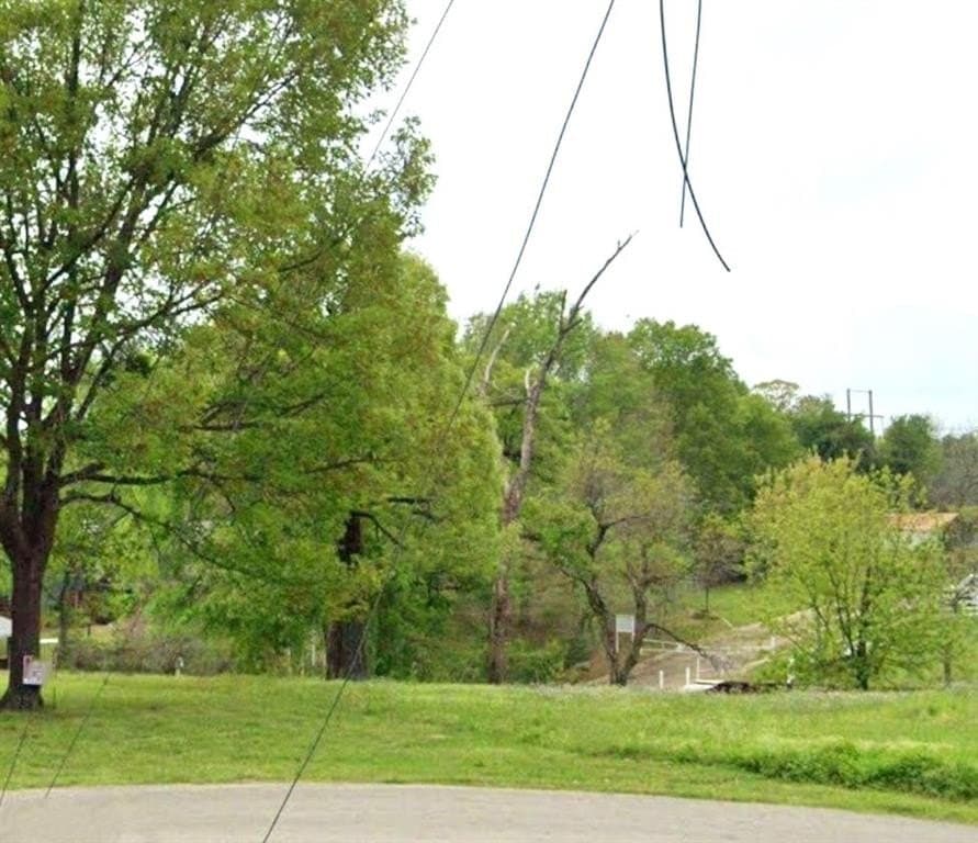0.28 acres in Henderson County - photo 2
