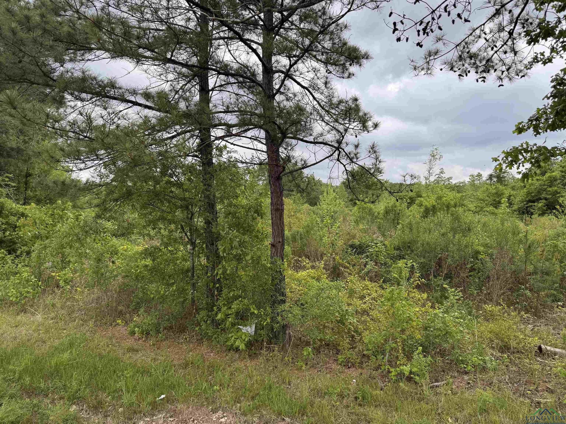 12.72 acres in Texas County - photo 7