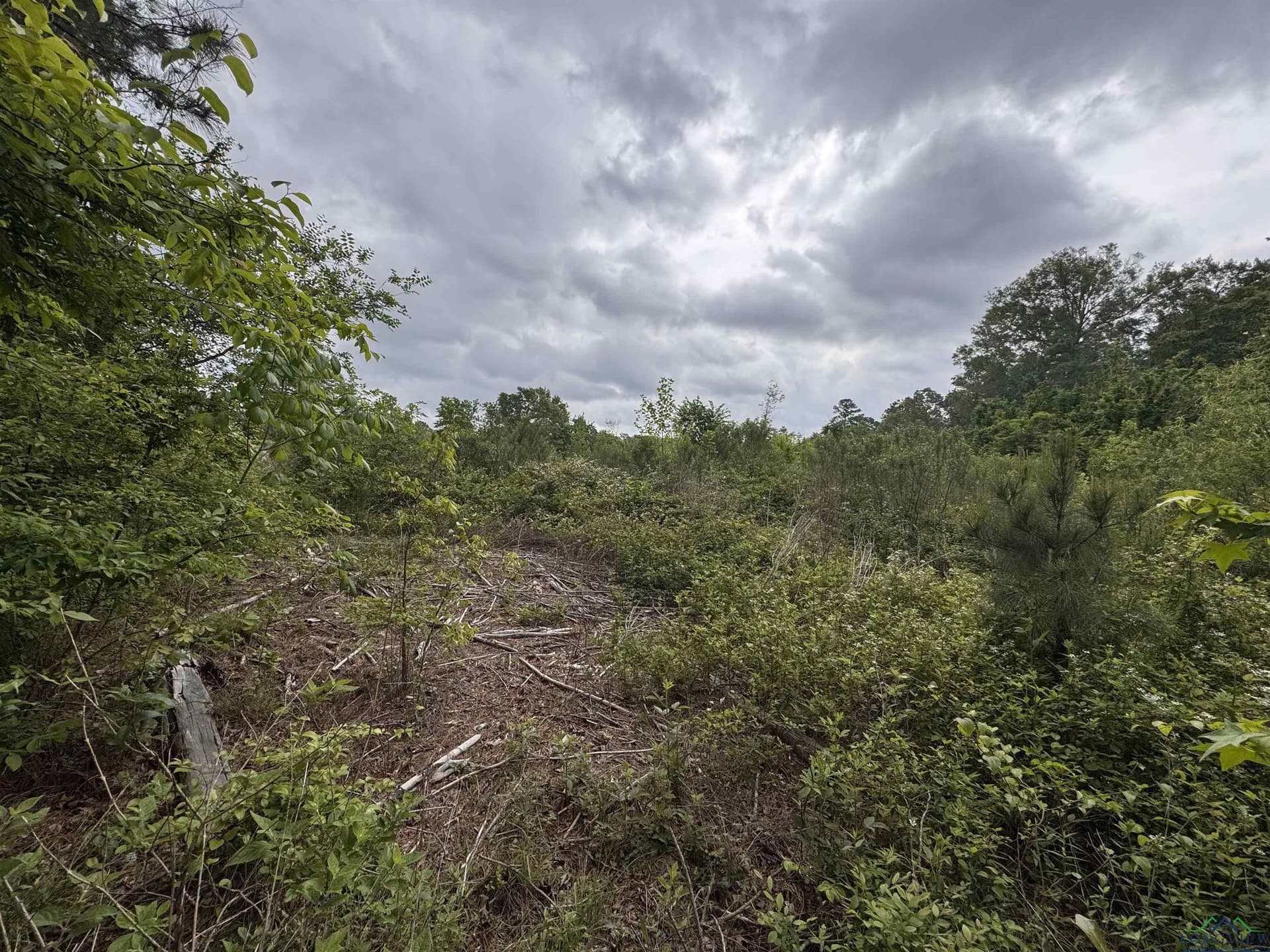 12.72 acres in Texas County - photo 5