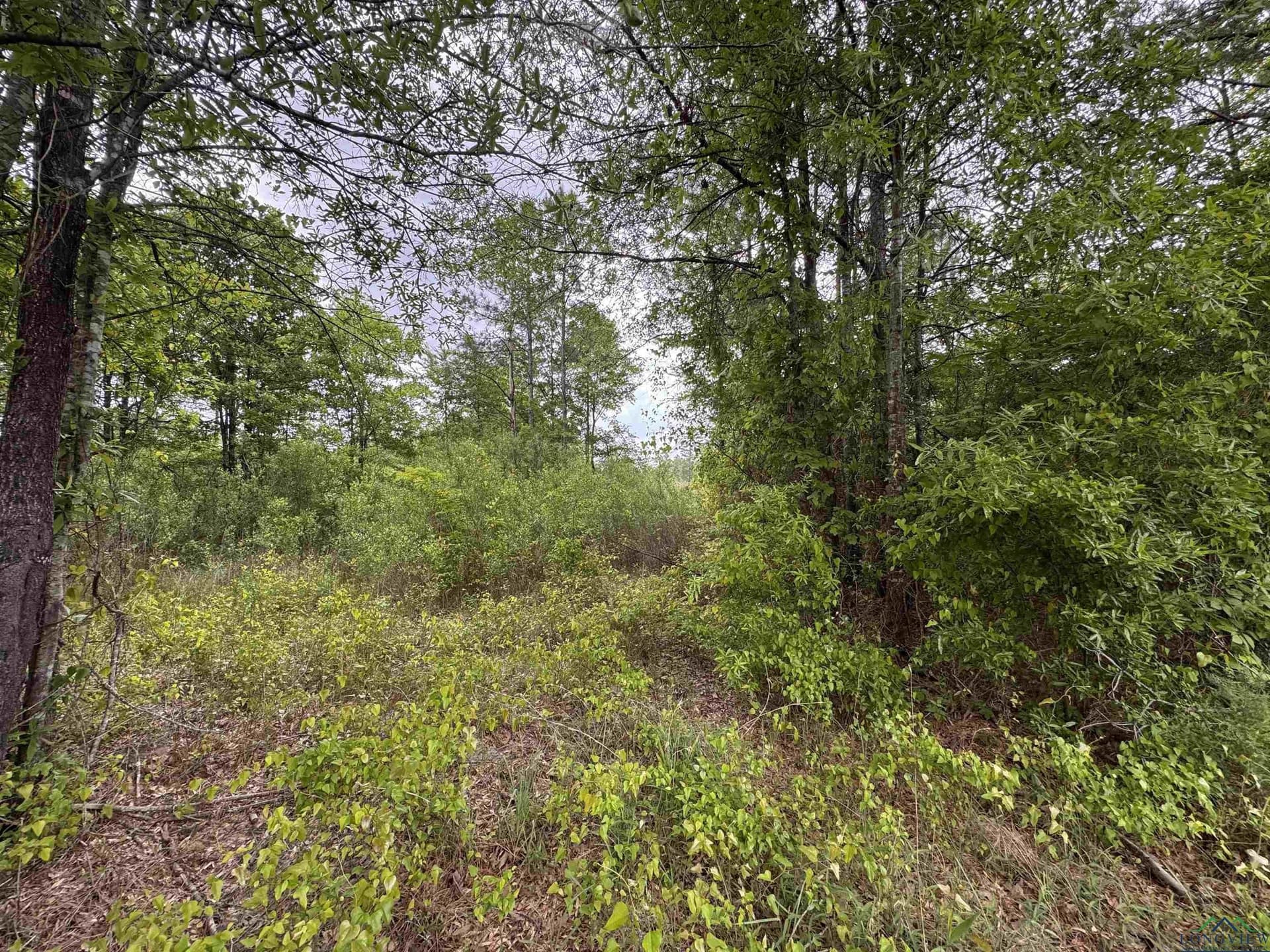 12.72 acres in Texas County - photo 2