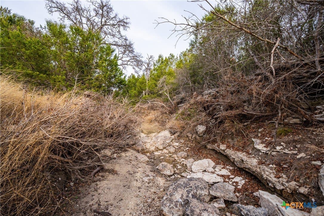 30.5 acres in Lampasas County - photo 44