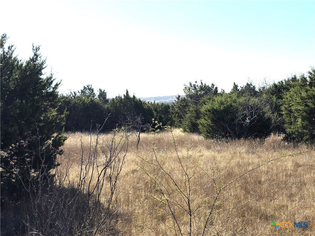 11.01 acres in Hamilton County - photo 15