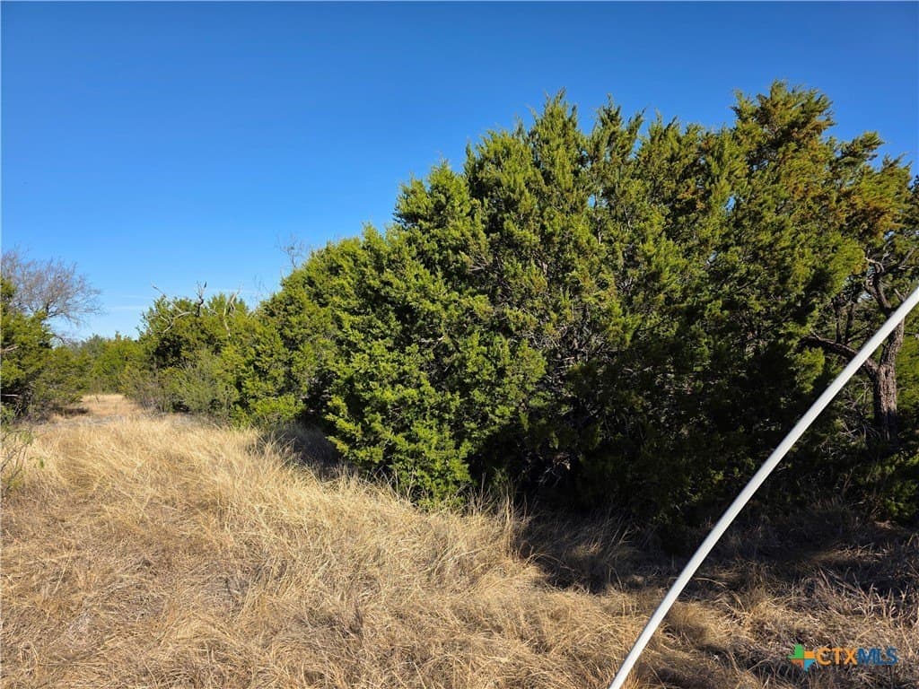 11.01 acres in Hamilton County - photo 7