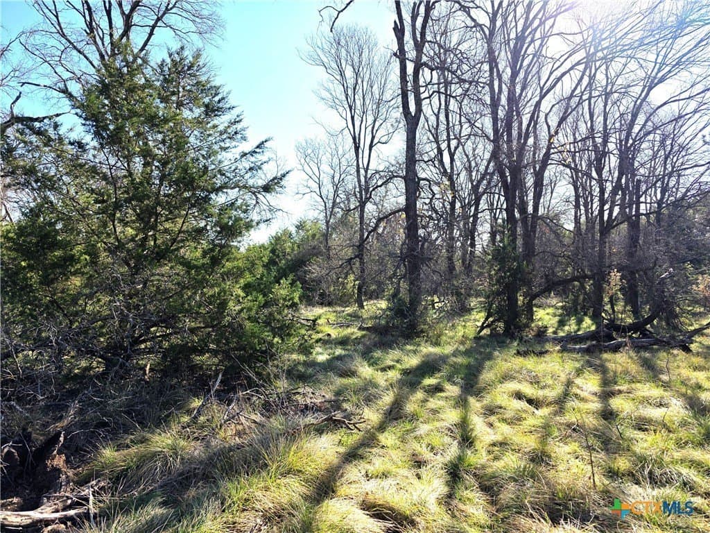 11.01 acres in Hamilton County - photo 9