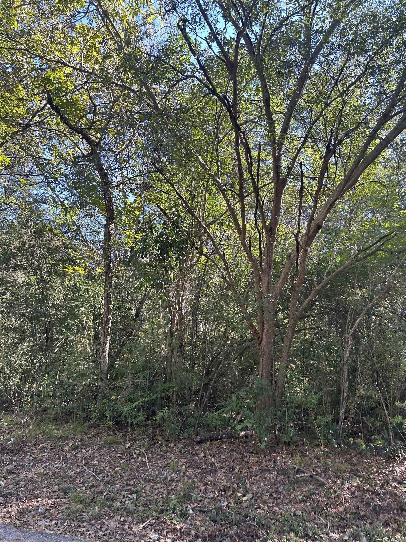 3.1 acres in Texas County - photo 3
