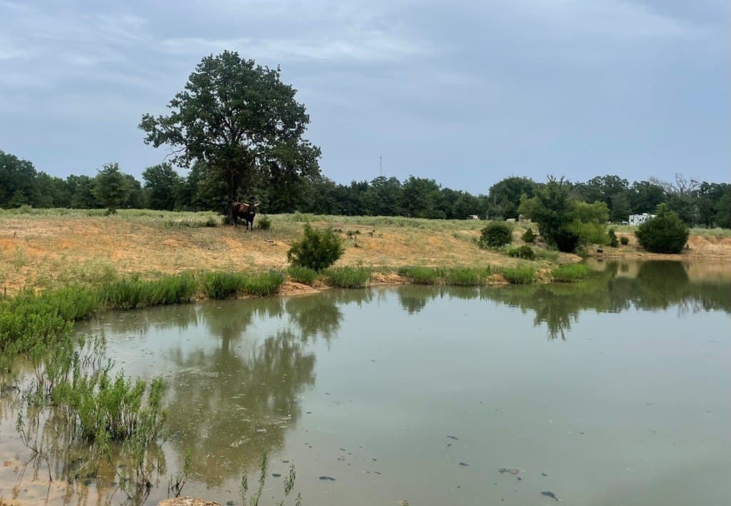 14.31 acres in LIMESTONE County - photo 4