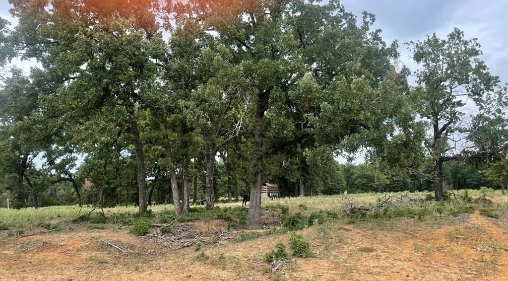 14.31 acres in LIMESTONE County - photo 3