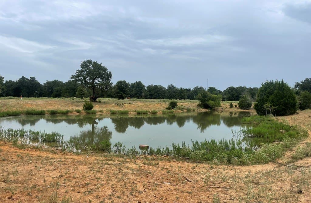 14.31 acres in LIMESTONE County - photo 5