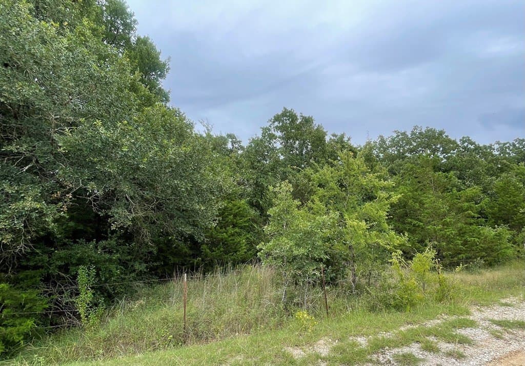 14.31 acres in LIMESTONE County - photo 6