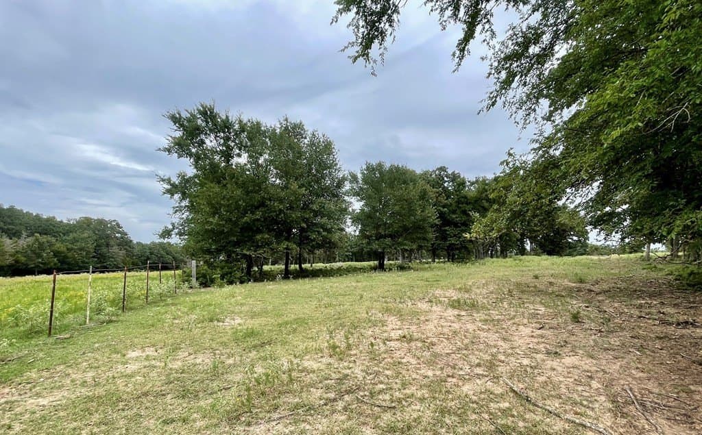 14.31 acres in LIMESTONE County - photo 2