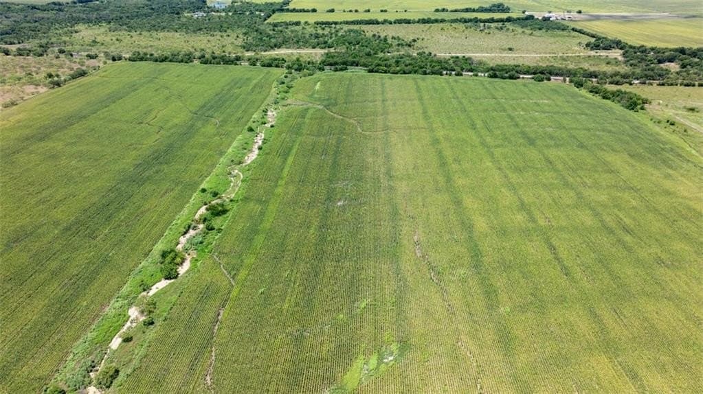 202.36 acres in Hill County - photo 9