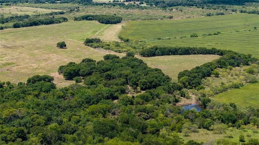 202.36 acres in Hill County - photo 5
