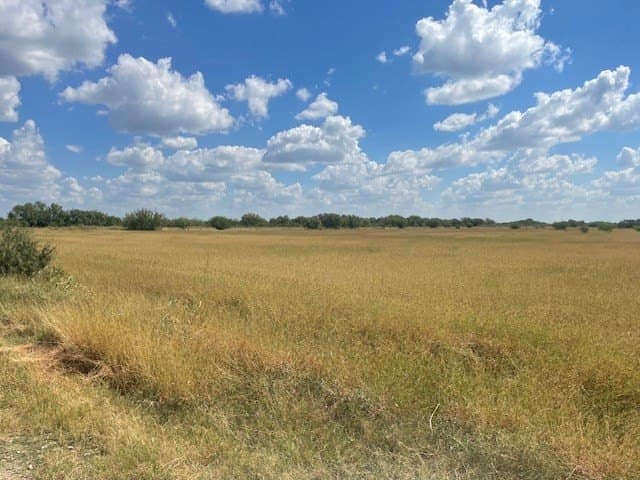36 acres in Maverick County - photo 15