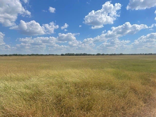 36 acres in Maverick County - photo 14