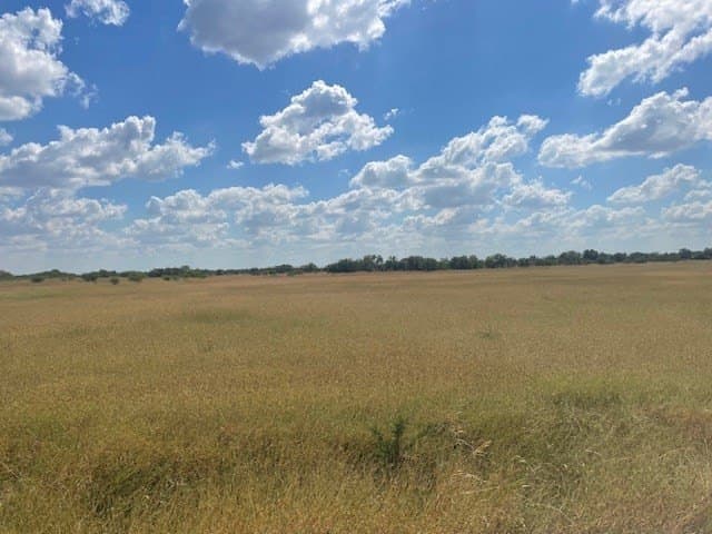 36 acres in Maverick County - photo 17
