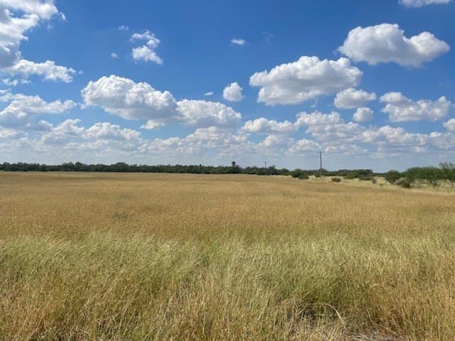 36 acres in Maverick County - photo 21