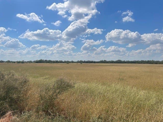 36 acres in Maverick County - photo 20