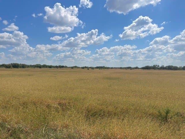 36 acres in Maverick County - photo 16