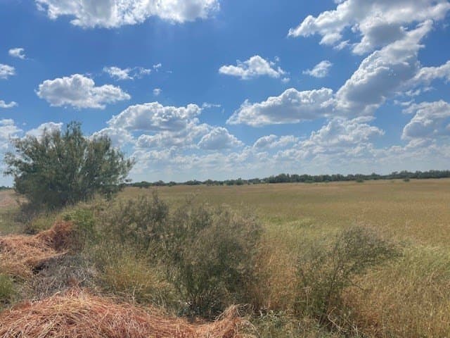 36 acres in Maverick County - photo 18
