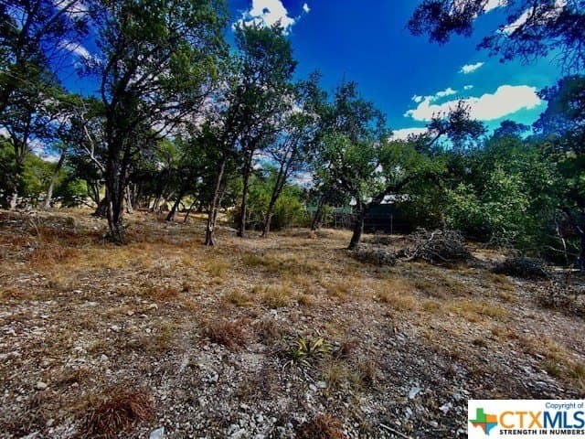 0.26 acres in Hays County - photo 3