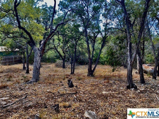 0.26 acres in Hays County - photo 4