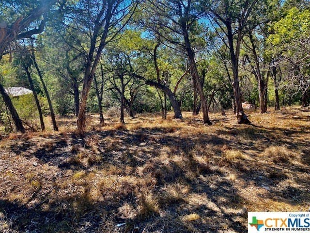 0.26 acres in Hays County - photo 2