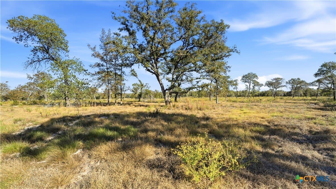 10 acres in Guadalupe County - photo 15