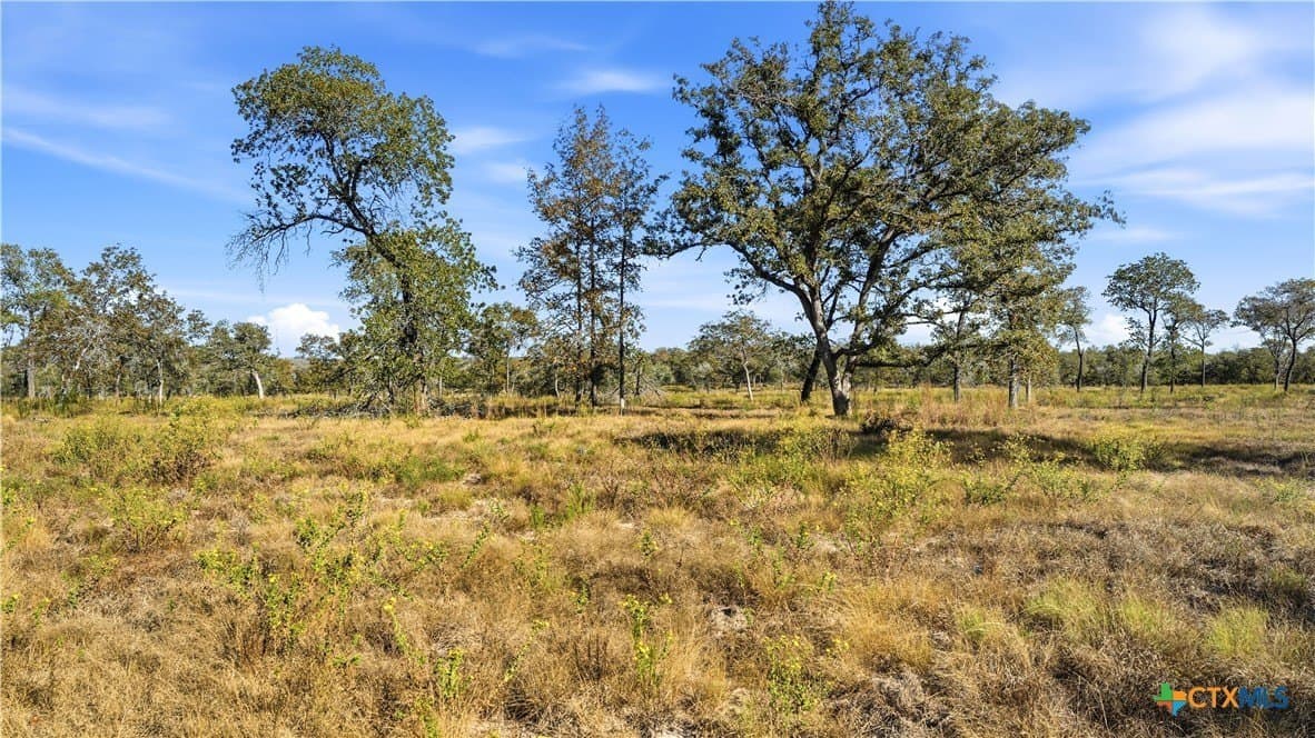 10 acres in Guadalupe County - photo 17