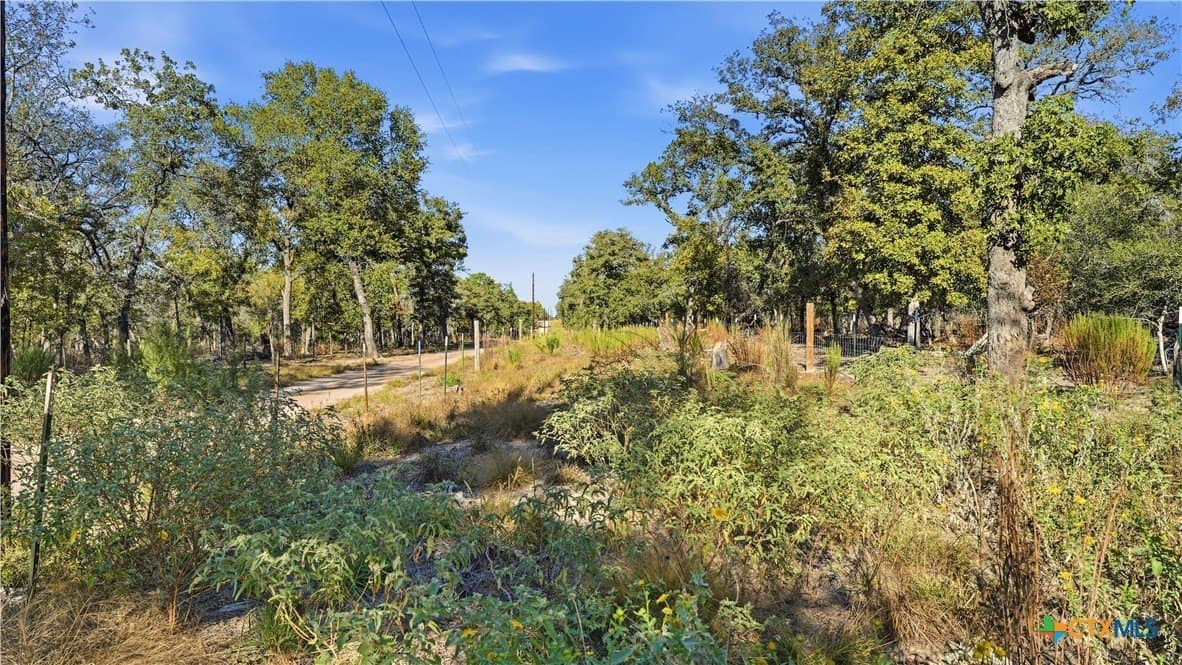 10 acres in Guadalupe County - photo 14