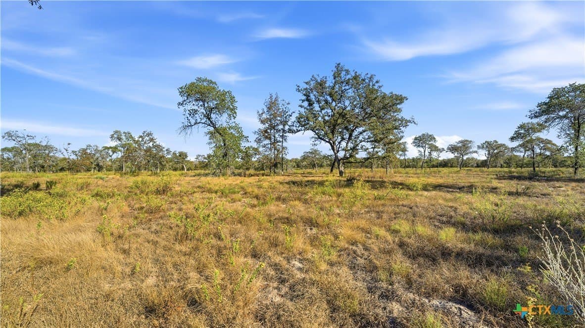 10 acres in Guadalupe County - photo 16