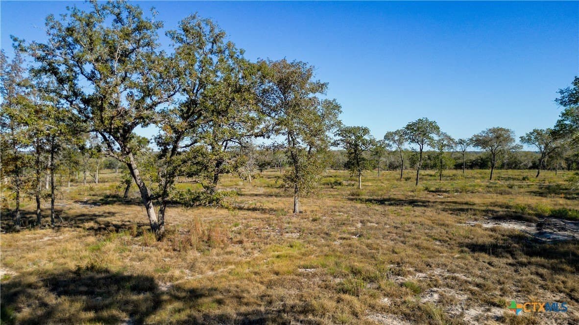 10 acres in Guadalupe County - photo 9