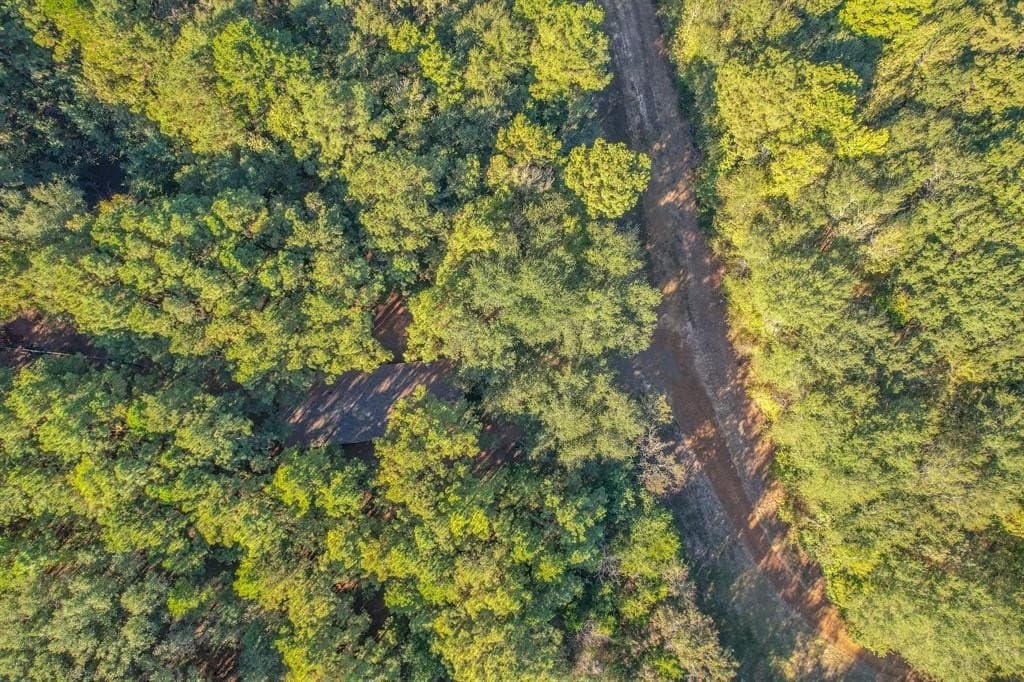 53 acres in Henderson County - photo 35