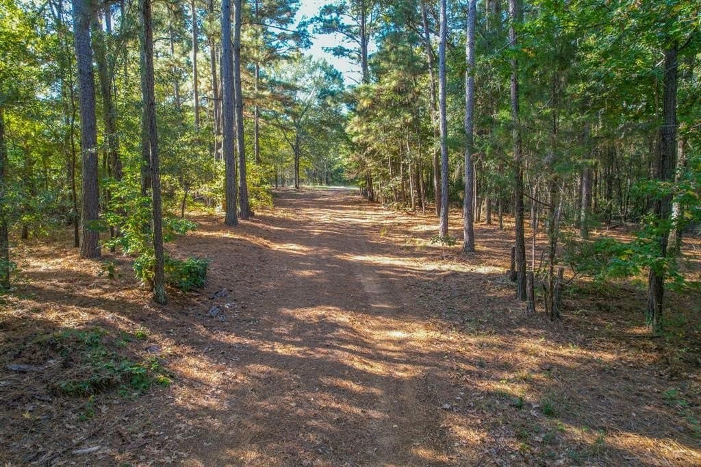 53 acres in Henderson County - photo 2