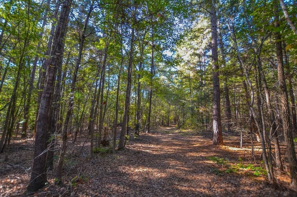 53 acres in Henderson County - photo 5