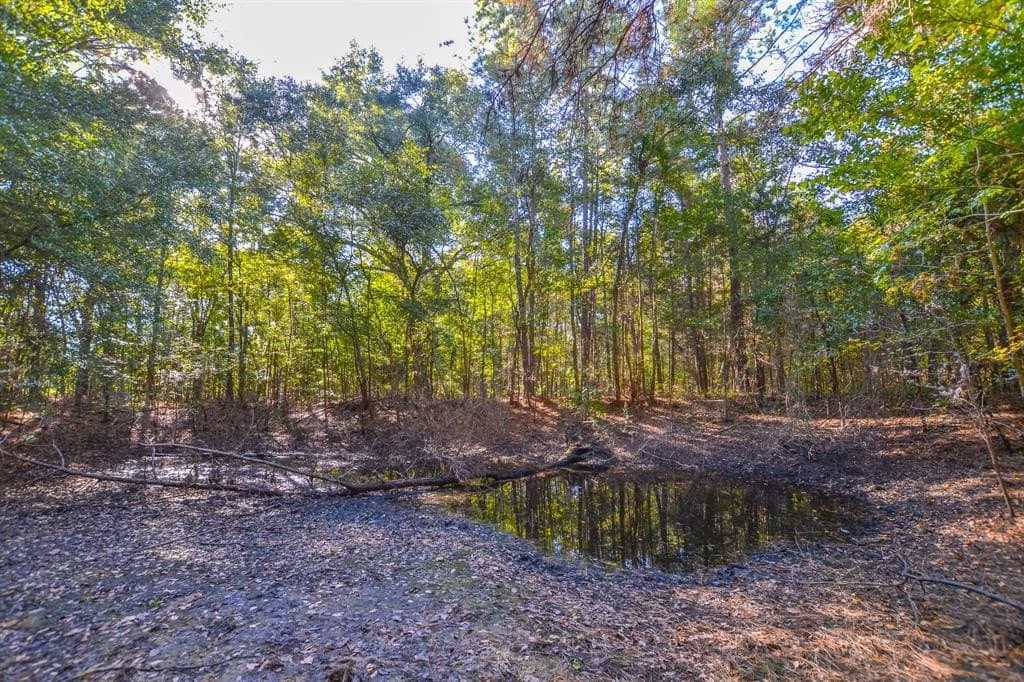 53 acres in Henderson County - photo 29