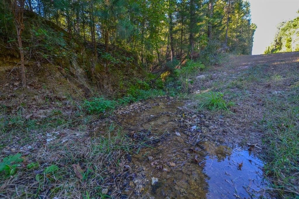 53 acres in Henderson County - photo 9
