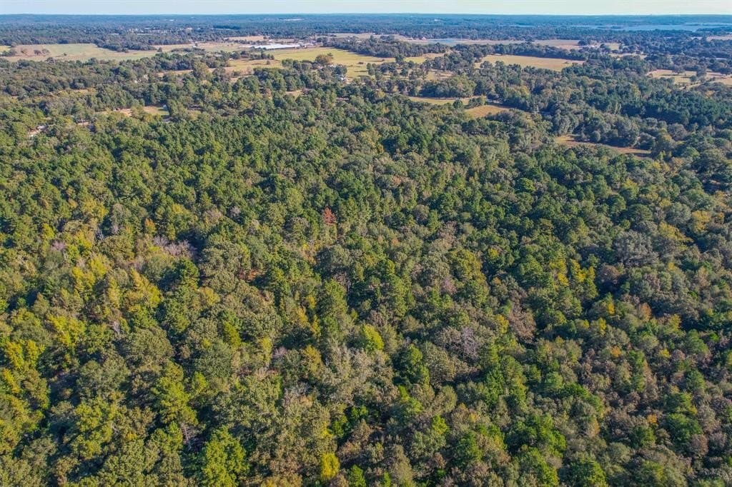 53 acres in Henderson County - photo 38