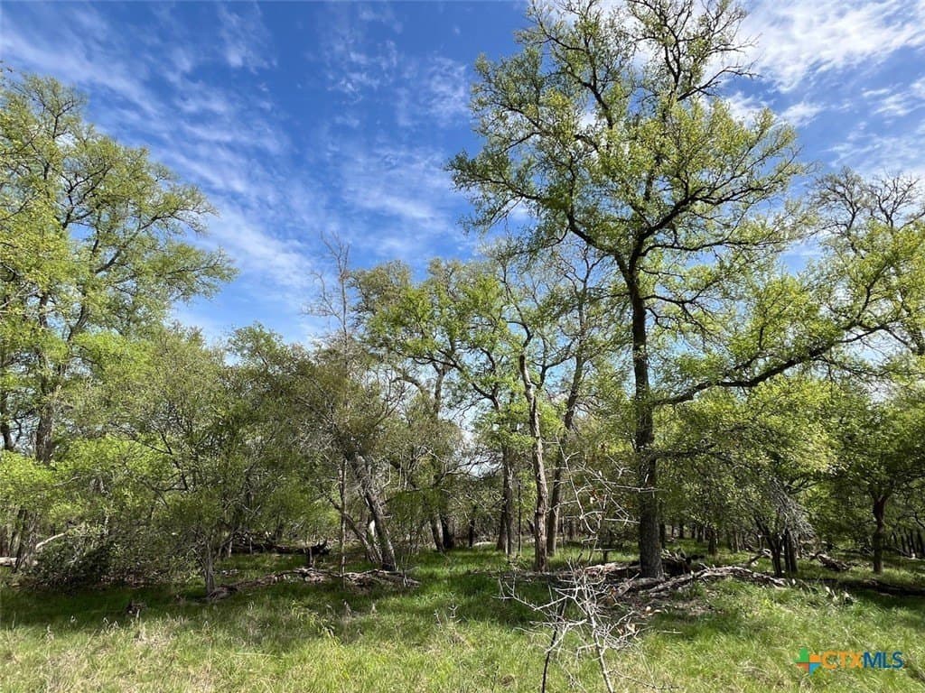 163.5 acres in Caldwell County - photo 3