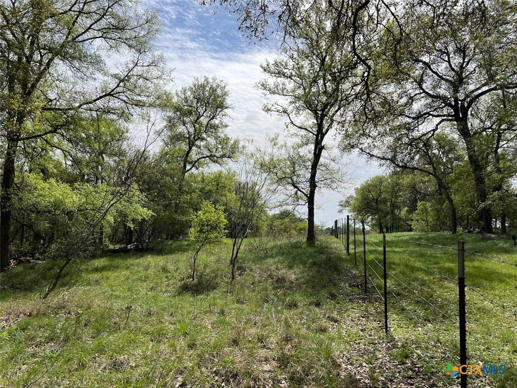 163.5 acres in Caldwell County - photo 7