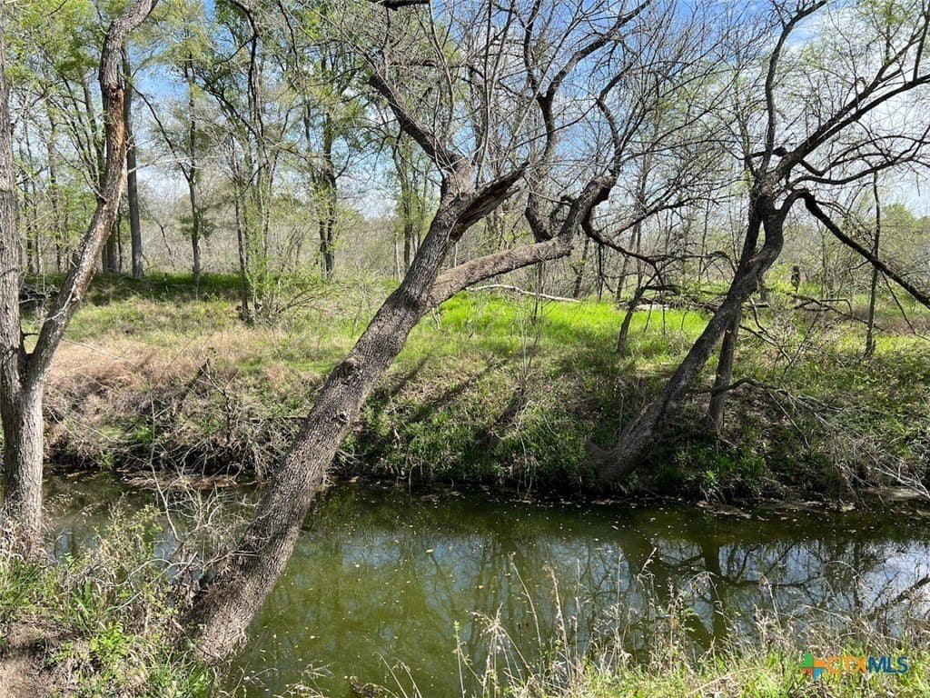 163.5 acres in Caldwell County - photo 5