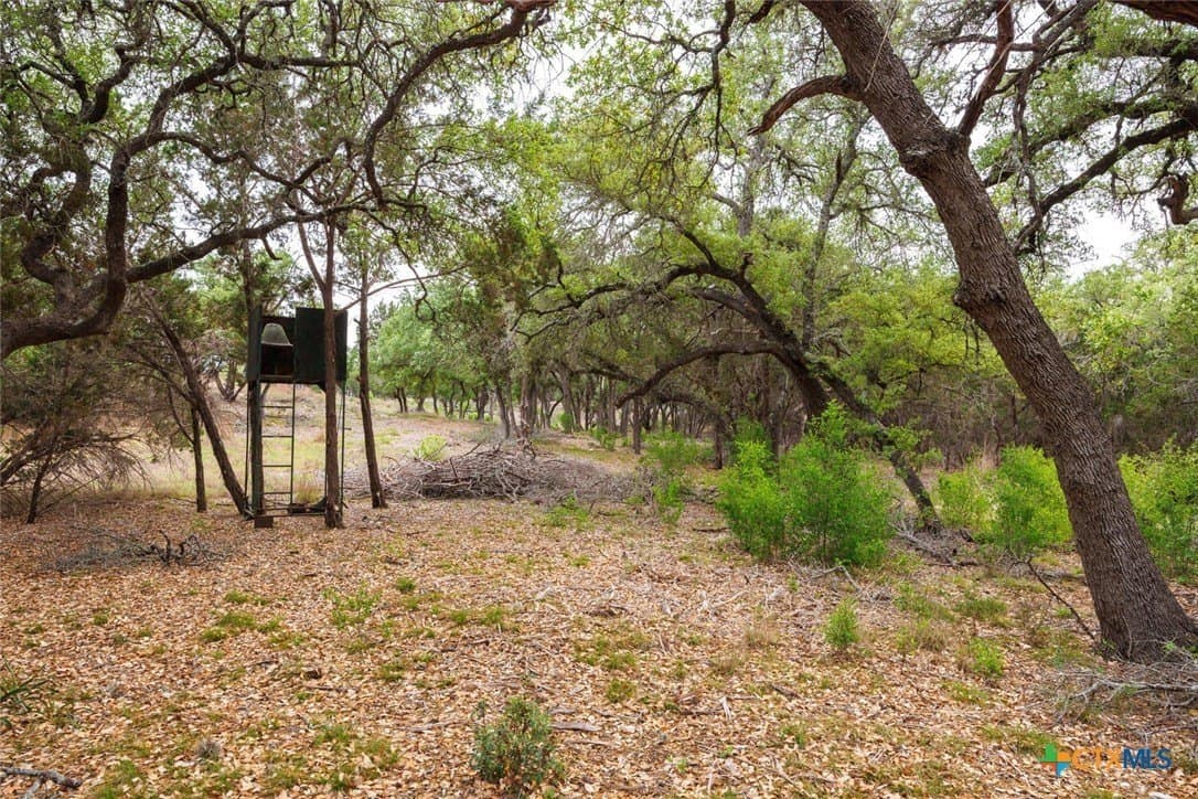 23.09 acres in Comal County - photo 31