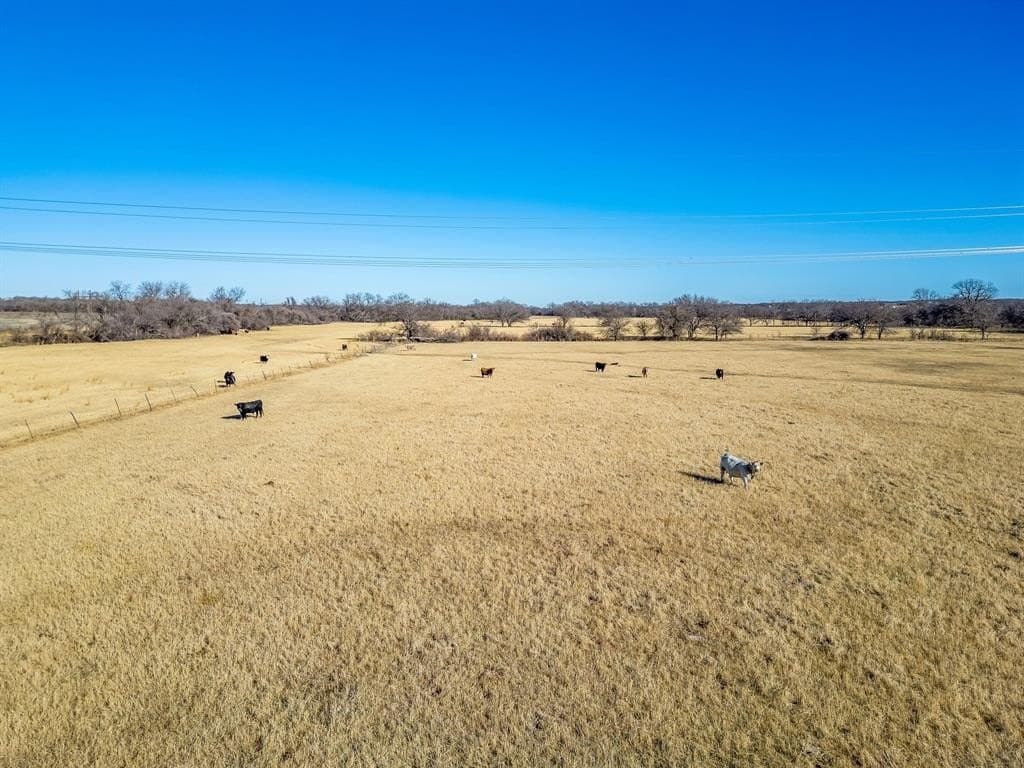 115.69 acres in Wise County - photo 11