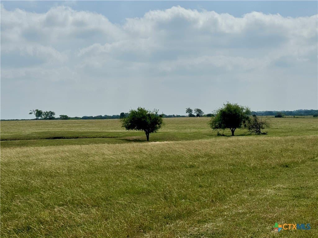 12 acres in Bell County - photo 11
