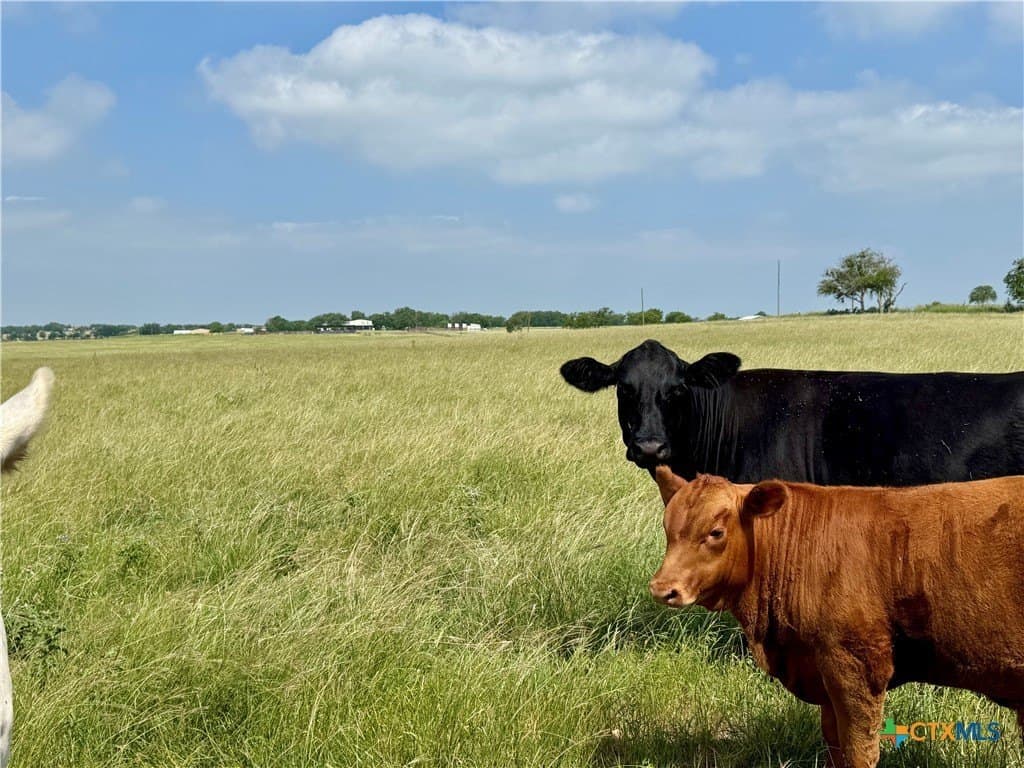 12 acres in Bell County - photo 15