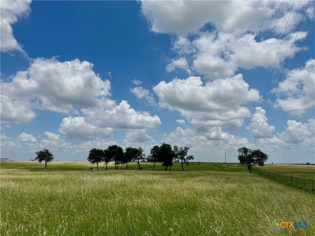 12 acres in Bell County - photo 23