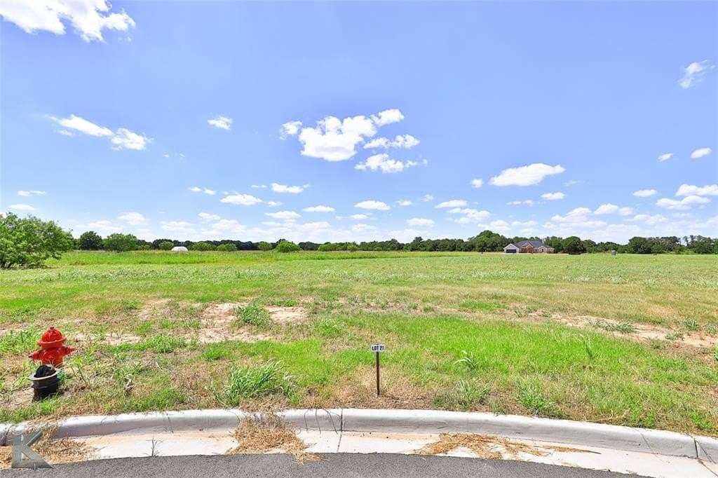 0.55 acres in Callahan County - photo 6
